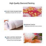 AIMUKILADO DIY 5D Cat Diamond Painting Kits for Adults Full Drill Cat Diamond Arts Kitten Diamond dots Craft for Home Wall Decor, 12x16 Inch