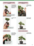 The Ultimate Bonsai Handbook: The Complete Guide for Beginners