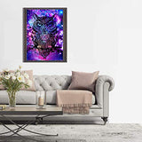 5D Diamond Painting Full Drill, 16"X12" Dream Owl DIY Diamond Painting by Number Kits, Rhinestone Crystal Drawing Gift for Adults Kids, 40x30cm Mosaic Making Art Painting for Wall Decoration