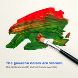 48 Portable Color Gouache Paint Set Unique Jelly Cup Design with Individual Paint Pan for Artists , Students (48 Colors, 35ml)