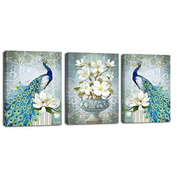 Peacock Blue Canvas Wall Art Animal Feathers Flowers Vase White HD Print Picture Modern Oil Painting Framed Home Decoration for Living Room 12x16x3