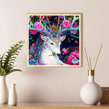 5D Diamond Painting Full Drill by Number Kits for Adults and Beginner, Colorful Elk DIY Round Full Drill Embroidery Paintings Rhinestone Pasted Diamond Art Decorations(11.8x11.8inch)