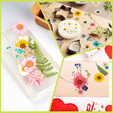 180 Pieces Dried Pressed Flowers and Butterfly Transparent Stickers Set with Tweezer, Natural Mixed Dry Flowers Leaves for DIY Candle Nail Pendants Scrapbook Decorations