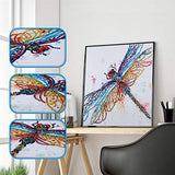 Diamond Painting DIY 5D Special Shape Rhinestones, ABEUTY Colorful Dragonflys, Partial Drill Crystal Diamond Art Kits