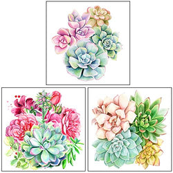 HaiMay 3 Pack DIY 5D Diamond Painting Kits Full Drill Painting Succulents Diamond Pictures Arts Craft for Wall Decoration, Plant Diamond Painting Style (Canvas 12×12 inches)