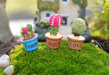 yueton 7pcs Cactus & Flower Pot Plant Miniature Ornament Set for Dollhouse Decor Fairy Garden