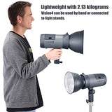 Neewer Vision 4 300W GN60 Outdoor Studio Flash Strobe Li-ion Battery Powered Cordless Monolight with 2.4G Wireless Trigger, 1000 Full Power Flashes, Recycle in 0.4-2.5 Sec, Bowens Mount