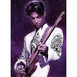 AOPIII Square/Round Drill 5D DIY Diamond Painting"Prince Singer" 3D Embroidery Cross Stitch 5D Home Decoration Gift-11.8x15.7 in (30x40cm)