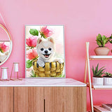 Nokoor 5D Diamond Painting for Adults by Number Kit, DIY Full Drill Crystal Rhinestone Dog Diamond Art Embroidery Paintings Cross Stitch Perfect for Relaxation and Home Wall Decor 30X40cm