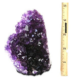 JIC Gem Natural Class 1 Polished Deep Purple Uruguay Amethyst Crystal Cluster Home Decor: 1-2 Lb