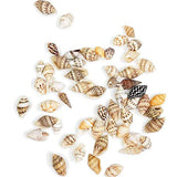 50pcs Natural Tiny Spiral Shell Beads with Holes, Sea Shells Ocean Beach Seashells Cowries Shells Charms and Beads for Jewelry Making DIY Craft Necklace and Bracelet Home Decor