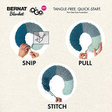 Bernat Blanket O'Go Agave Yarn - 2 Pack of 300g/10.5oz - Polyester - 6 Super Bulky - 220 Yards - Knitting/Crochet