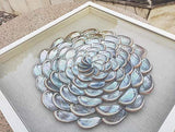 Coastal 24"x24" Natural Abalone Shell Flower Shape Wall Art with Shadow Box Framed Front Glass for Living Room Dining Room Entrance Corridor Bedroom Decoration