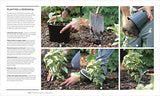How to Garden, New Edition: A practical introduction to gardening