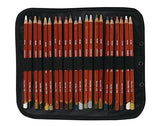 Derwent Carry-All Pencils Leaves / Holders for Storage, Canvas Bag, 44 Pencil Capacity, 2-PACK