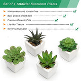 Coitak Fake Succulent Plants in Pots, Mini Assorted Artificial Faux Succulents, Potted Fake Cactus Cacti Plants with Ceramic Pots, Set of 4