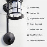 Weatherproof Outdoor Security Camera, Toucan Powered by Light Fixture, Includes Smart Socket and