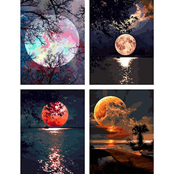 COLORWORK DIY Paint by Numbers, Canvas Oil Painting Kit for Kids & Adults, 12" W x 16" L Drawing Paintwork with Paintbrushes, Full Moon 4 PCS Set