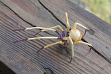 Spider - lampworked lifelike glass arachnid spider figurine, glass insect, Art Glass Spider, blown glass figurine Spider, glass insects