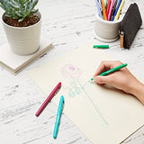 AmazonBasics Felt Tip Pens - 12 Assorted Colors