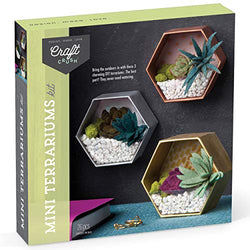 Craft Crush – Mini Terrariums Craft Kit – Make 3 Geometric Terrariums with Colorful Felt Succulents – Creative Arts & Crafts Gift for Kids, Teens & Adults