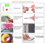 5D Diamond Painting Kits for Adults & Kids,Butterfly Girl Diamond Dots DIY Arts Painting Perfect for Home Wall,Living Room, Dorm Decor(11.8x15.8 inch)