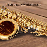 Saxophone,E-flat Brass alto saxophone with suitcase,Full Tenor saxaphone for beginners Students, 10 Alto saxophone reeds, Glove, Strap, Box,Brush, Cleaning cloth, 8 Mouthpiece Cushion Pads