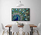 MXJSUA DIY 5D Special Shape Diamond Painting by Number Kit Crystal Rhinestone Round Drill Picture Art Craft Home Wall Decor 12x16In Blue Green Peacock