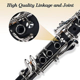 Aileen Lexington CL3041N Bb Flat 17 Key Clarinet with Mouthpiece, Hard Case, Cork Grease, Gloves and Other Kit