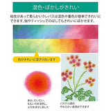 Sakura Cray-Pas 24 colors