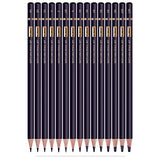 MUJINHUA Professional Drawing Sketch Pencils Set, 15 Pieces Drawing Graphite Pencils(12B, 10B, 8B, 6B, 5B, 4B, 3B, 2B, B, HB, F, H, 2H, 3H, 4H)for Drawing, Sketching, Shading, for Beginners & Artists