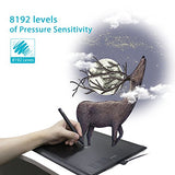 Huion New 1060 Plus Graphic Drawing Tablet with 8192 Pen Pressure 12 Express Keys and Built-in