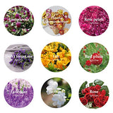 9 Bags Dried Flowers,100% Natural Dried Flowers Herbs Kit for Soap Making, DIY Candle Making,Bath - Include Rose Petals,Lavender,Don't Forget Me,Lilium,Jasmine,Rosebudsand More