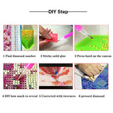 DIY 5d Diamond Painting Kits for Adults, Large Full Drill Round Diamond Embroidery Kit by Number, Home Wall Stickers Decor for Living Room, Bedroom, Hallway, Office (Colorful Girl, 11.8 x15.7inch)