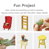 Rolife DIY Dollhouse Miniature Craft Kits for Adults