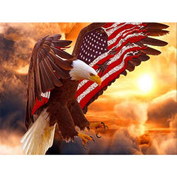 DRZYJ DIY Diamond Painting Kits for Adults Full Drill, American Flag Eagle 5D Diamond Painting by Number Kits, Diamond Art for Home Wall Decor (15.7 x 11.8 in)