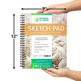 Norberg & Linden Sketch Pad 2 Pack - 9x12" Premium Heavyweight Paper for Artwork - Ideal Texture for Dry Media - Erasable & Anti-Smudge, Spiral Bound Detachable Pages - Cold-Pressed, 89g, 200 Sheets