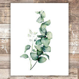 Botanical Prints Wall Art (Set of 6) - Unframed - 8x10s | Flowers and Eucalyptus