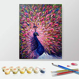 DIY Paint by Numbers Canvas Painting Kit for Kids & Adults, 16" x 20" Drawing Paintwork with 3 Paintbrushes 24 Acrylic Paints - Pink Peacock
