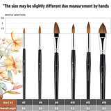 Sable Watercolor Paint Brushes-Kolinsky Water Color Artist Paint Brush 6PCS Paintbrushes with Point Round Cat's Tongue Dagger Shaped for Watercolor Acrylics Inks Gouache Tempera Painting