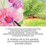 Caran D'Ache Color Pencil Set - Museum Aquarelle Watersoluable Colored Pencil Set of 76 + 2