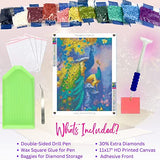 Modern Merch Peacock Diamond Art Kits for Adults, Peacock Diamond Painting, DIY Peacock Decor Flowers Paint by Diamonds for Adults, Beautiful Landscape & Birds 11x17 DIY Arts and Crafts for Adults…