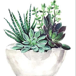 DIY Diamond Rhinestone Painting Kits for Adults, Embroidery Arts Craft Home Decor Succulent Plants 11.8x11.8Inches