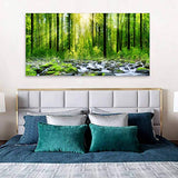 Wall Art for Living Room Canvas Art Decor Morning Sunrise Green Trees Landscape Sunshine Over Forest Photograph Printed on Canvas for Home Wall Decoration Mural Print Artwork Natural Outdoor Picture