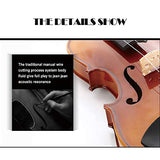 Aliyes Solid Wood Violin Designed for Beginners/Students with Hard Case Bow Rosin (4/4/Full-size)
