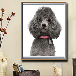 DIY 5D Diamond Painting Kits for Adults/Kids Large Full Drill Diamond Embroidery Dotz Cross Stitch Rhinestone Mosaic Diamond Art Craft for Home Wall Decoration Poodle Dogs Puppy （30x40cm/12x16in）
