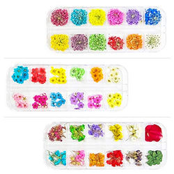 336 Pcs/ 3Boxes NOLASLIAN Real Dried Flowers Nail Art for Acrylic Nails Colorful Natural Flowers and Green Leaves Nail Art Accessories 3D Nail Decoration for DIY UV Gel Acrylic Nail Design Nail Decals