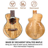 Hricane Concert Ukulele Spalted Maple 23 Inch Ukelele for Adults Beginners, Professional Solid Wood Uke with Glossy Satin Body Ukulele Stater Kit