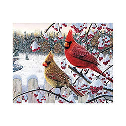 WEIYP 5D Diamond Painting Kits for Adults Full Drill The Cardinals Embroidery Rhinestone Painting Full Drill Paint with Diamond for Christmas Home Wall Deco-Cardinals