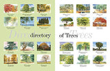 Kew: The Watercolour A to Z of Trees and Foliage